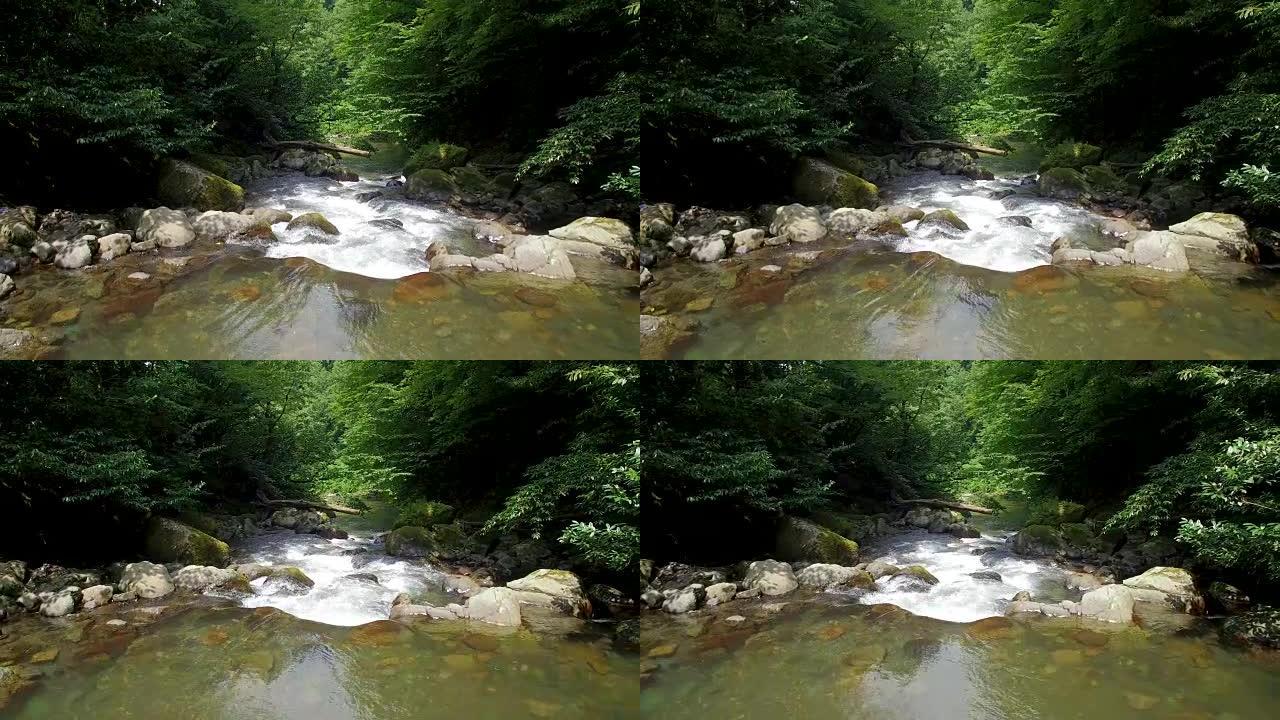 透明的河流流经树木之间的岩石