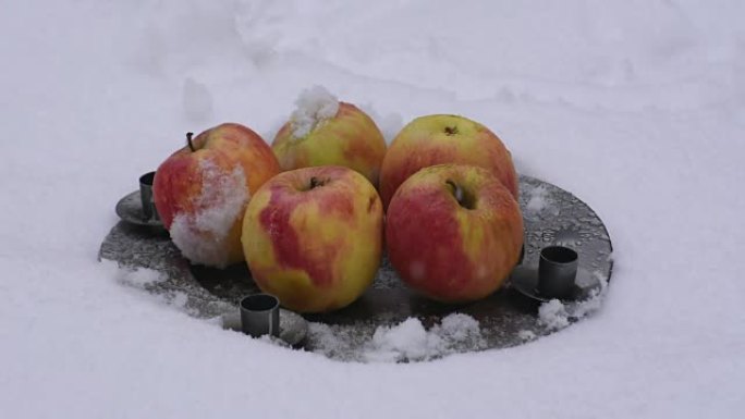 雪地里的苹果