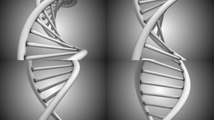 DNA双螺旋线粒体分子化学3D渲染