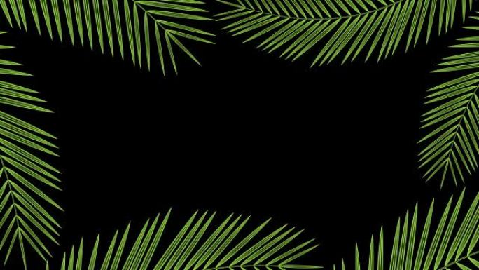椰树叶子透明框架随风移动循环和复制空间动画4K在黑色背景上与阿尔法通道