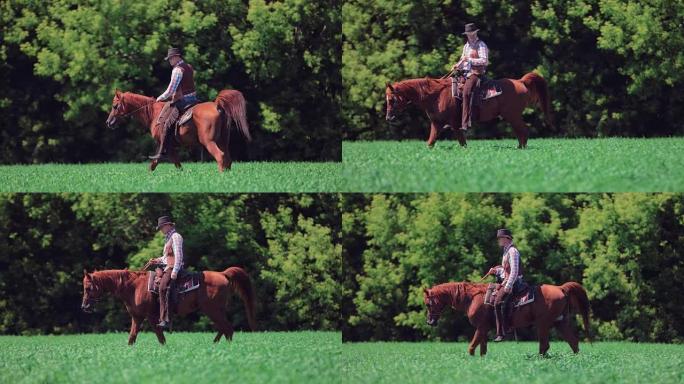 牛仔骑手在野外骑马
