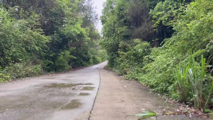 雨后乡间小路平静悠闲乡村风景