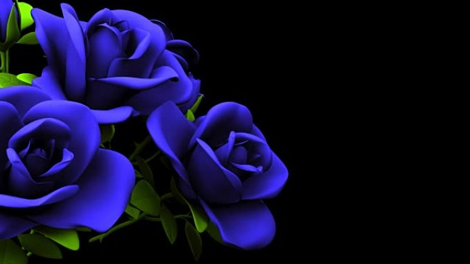 黑色文本空间上的蓝色玫瑰花束