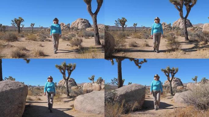 女游客在仙人掌、约书亚树和巨石之间穿过沙漠