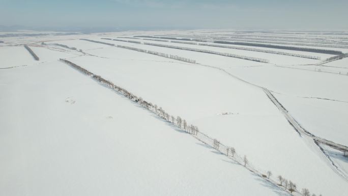 黑龙江五大连池平原林海雪原自然风光