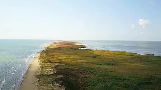 黑海沿岸的野景，东欧，长条土地覆盖着芦苇和特定的湿地植被，沙滩上的鸟类，将海洋与多瑙河三角洲地区隔开