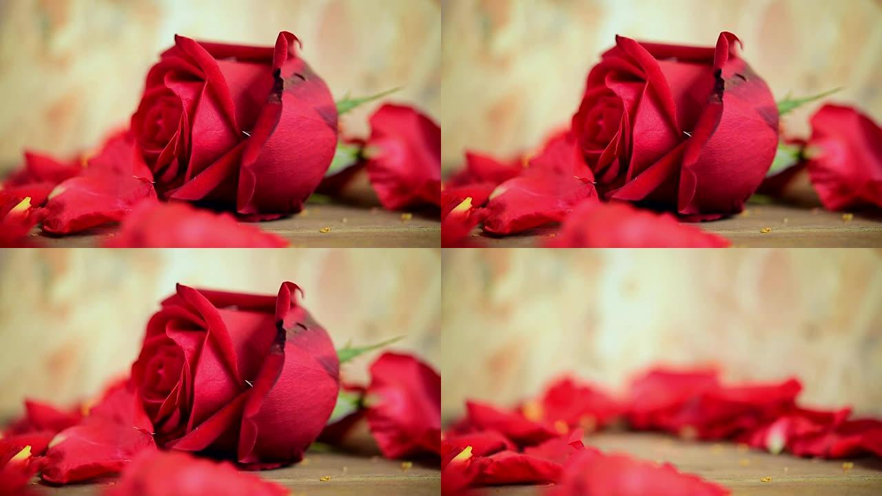 Red rose flower on wooden floor in Valentine's Day