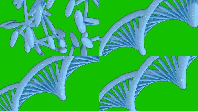 旋转DNA运动动画背景，3D DNA动画背景