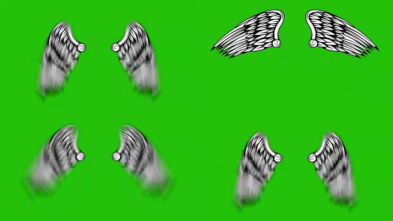绿色背景上的飞翼动画。天使之翼动画。