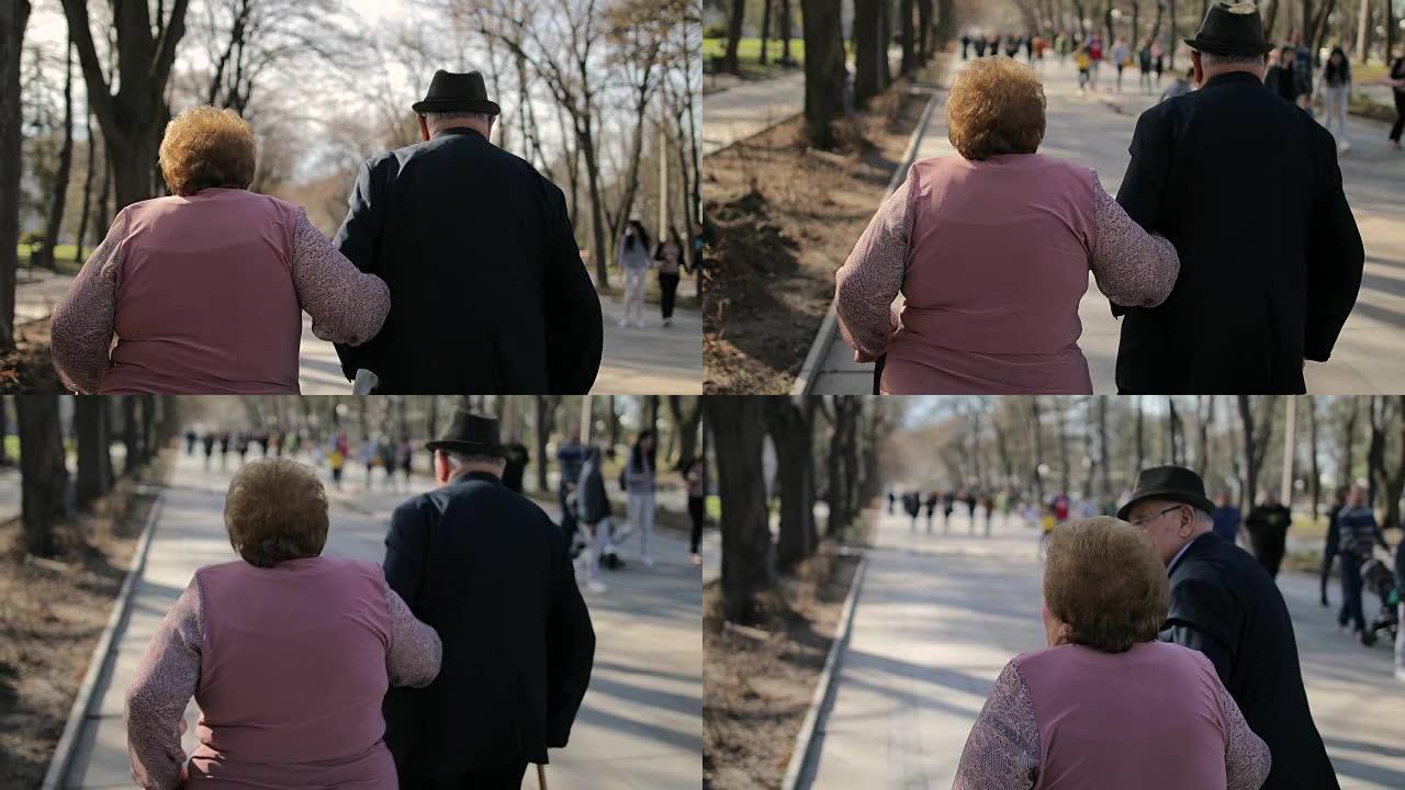 结婚60年。Simpatical老年夫妇在温泉公园散步
