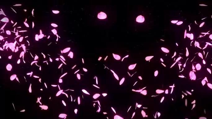 樱花花瓣落在黑色背景上，循环闪光动画，