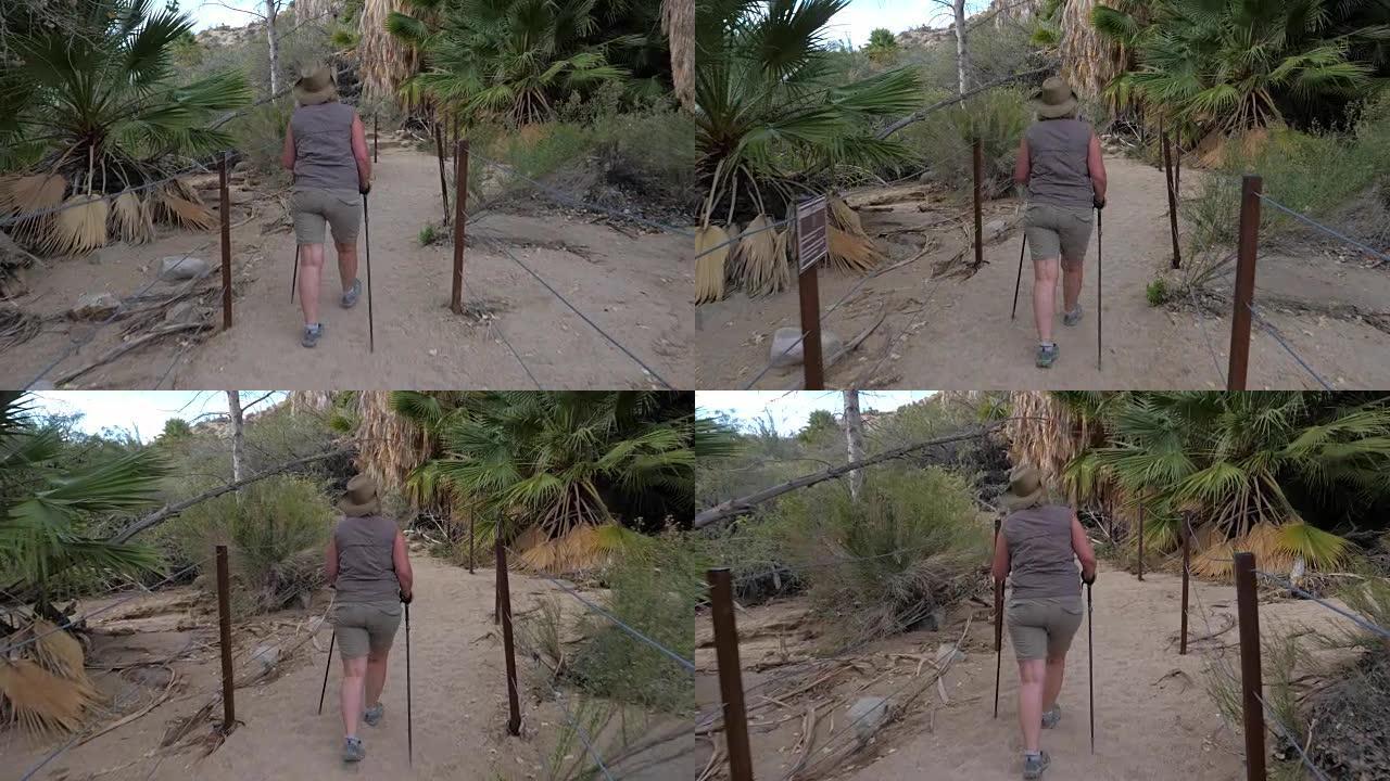 在莫哈韦沙漠有棕榈树的绿洲上徒步旅行的活跃的胖成熟的女人