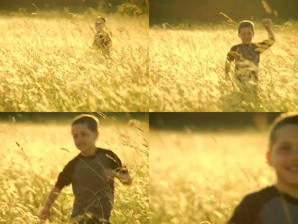 伙计男孩在田野里奔跑