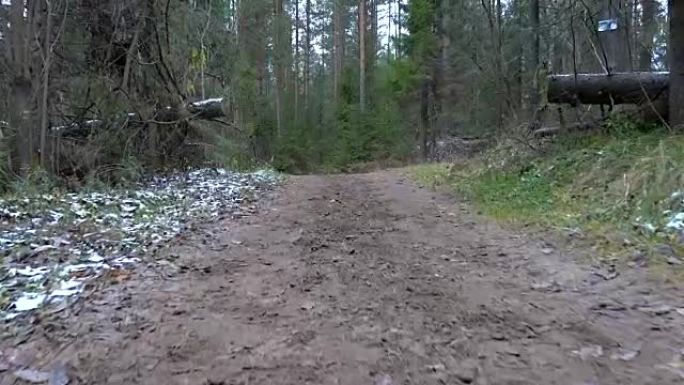 森林中结冰的肮脏道路的视频