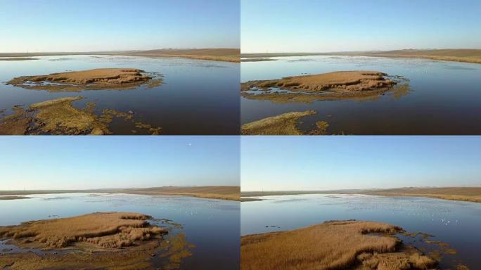 多瑙河三角洲湿地鸟瞰图