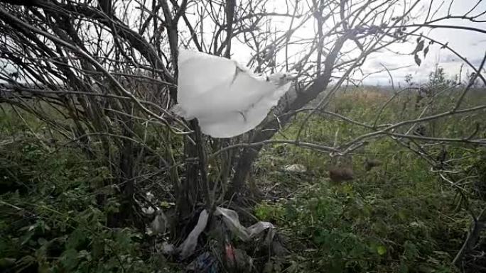 塑料袋粘在树枝上，在风中飘扬。污染概念