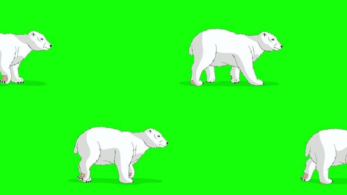 北极熊行走2色度