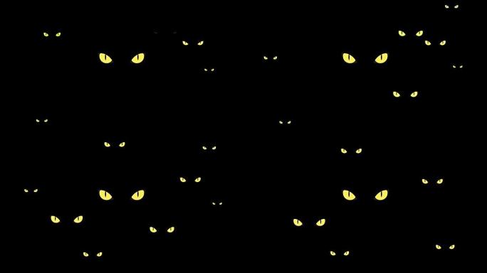 黑暗中危险的黄色野猫眼睛