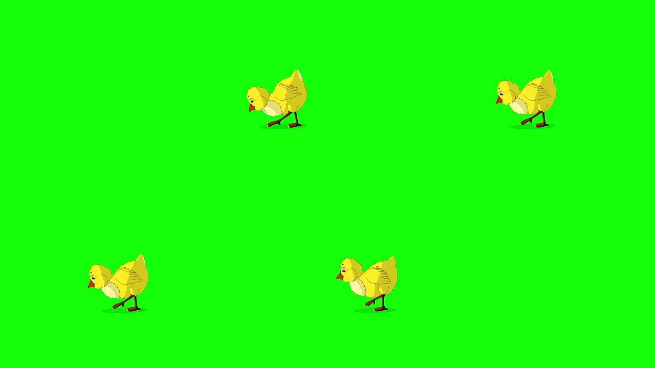 黄色鸡走路和啄色度键