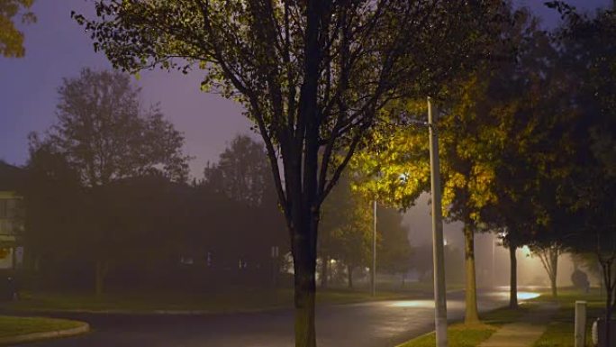 道路夜雾城市交通夜路带路灯雾中