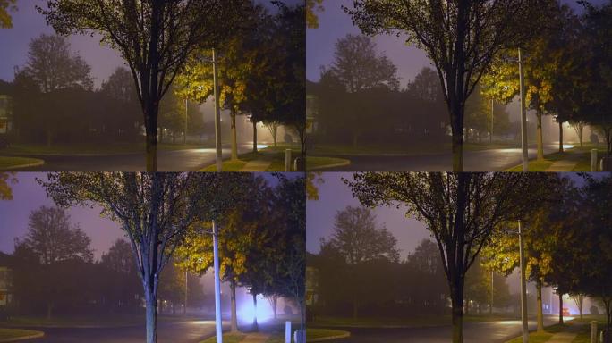 道路夜雾城市交通夜路带路灯雾中