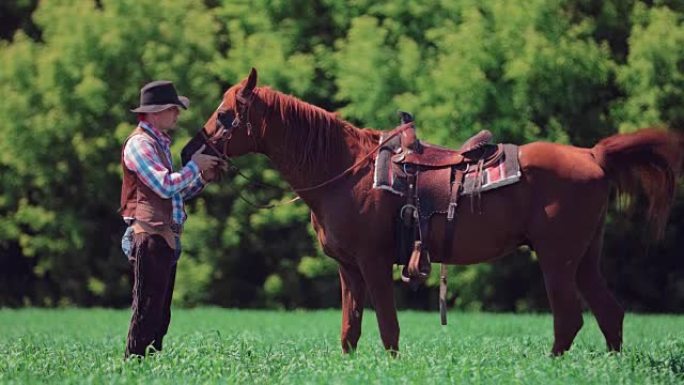 牛仔骑手站在马旁边，然后跳上马，沿着森林跳到田野的远处