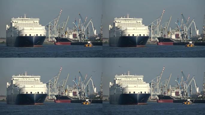 滚装/集装箱运输船，集装箱船，装货起重机，汉堡港，4K