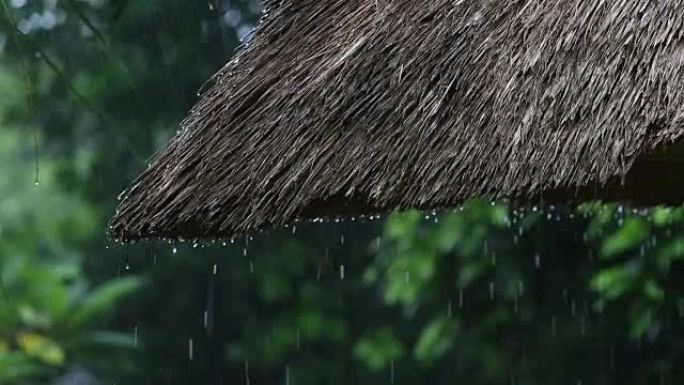 热带夏季雨水落在花园的稻草屋顶上。印度尼西亚巴厘岛