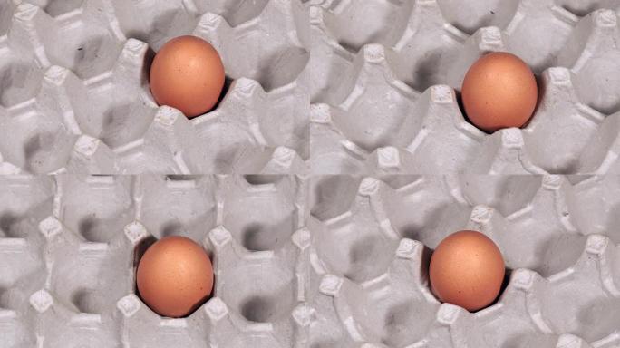 纸面板转鸡蛋的焦点