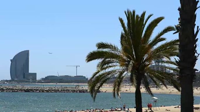 巴塞罗那海滩上的棕榈树