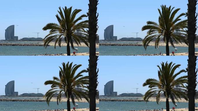 巴塞罗那海滩上的棕榈树
