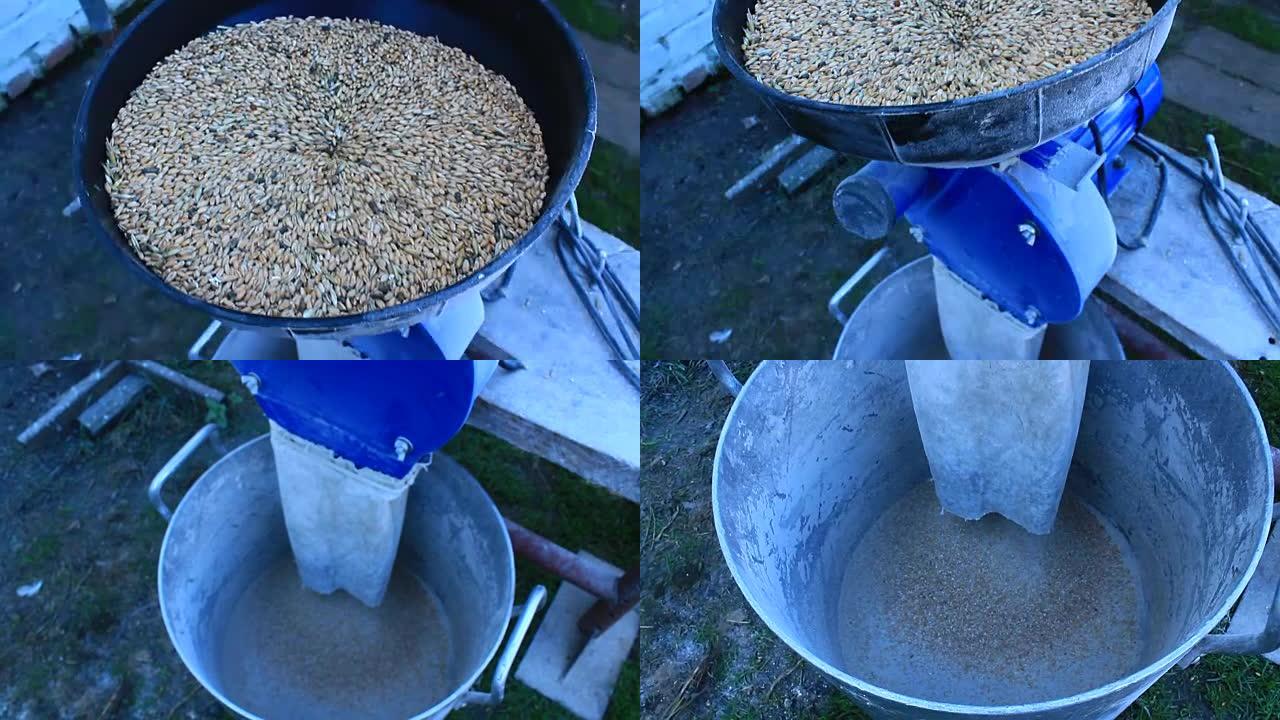 小麦磨成面粉