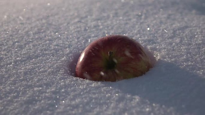 单个新鲜的红色和黄色苹果，躺在低日暴风雪下的雪堆中。