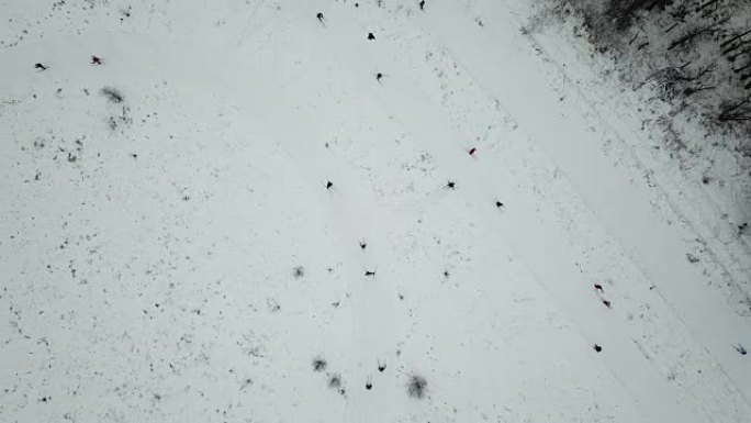 滑雪者训练，俯视图