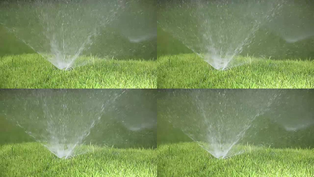 在阳光明媚的日子里，慢动作的自动浇水系统的喷嘴喷嘴的关闭，带有明亮绿色的短毛草坪草