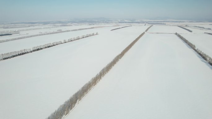 黑龙江五大连池平原林海雪原自然风光