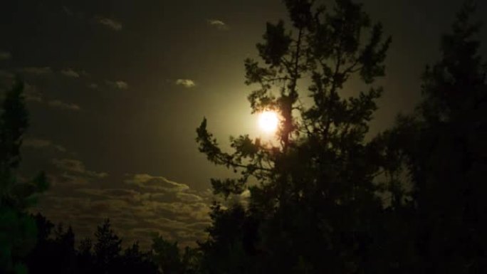 满月在夜空中移动穿过乌云和树木。延时