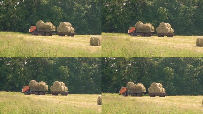 在汽车拖车中运输收获的干草。卡车沿着道路运送干草块。农民从田间收割粮食
