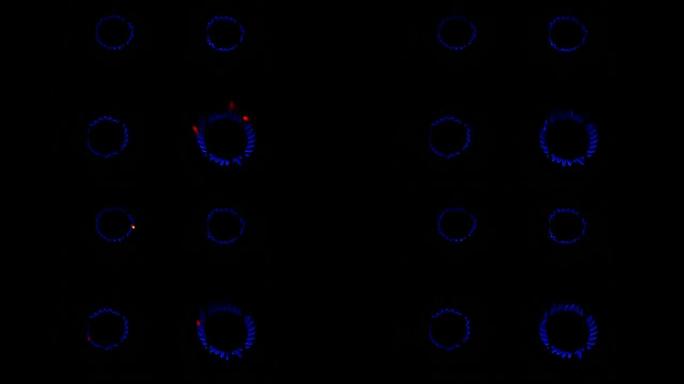 燃烧的燃气灶燃烧器在黑暗中工作