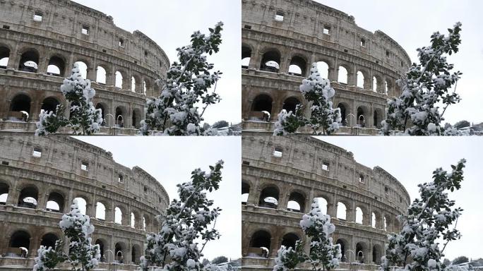 被雪覆盖的巨像的暗示性观点