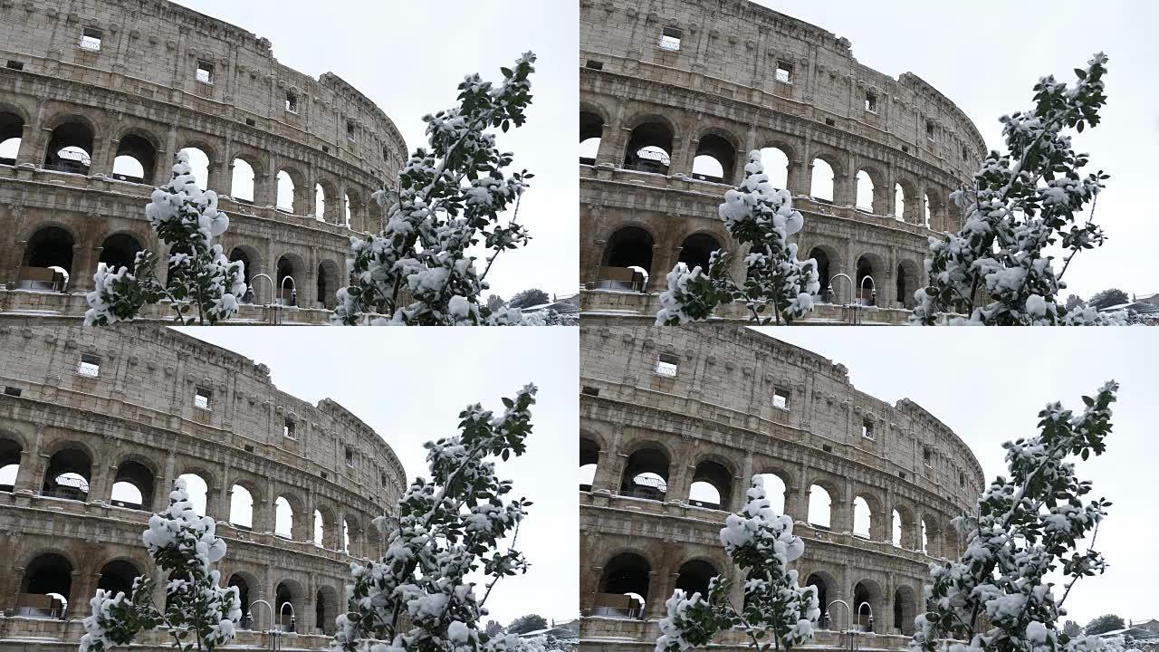 被雪覆盖的巨像的暗示性观点