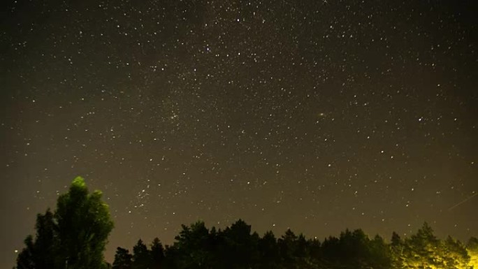 夜空中移动的星星在树上。时间流逝