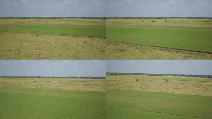 在野外进行空中收割