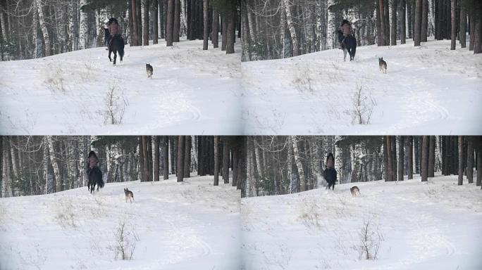 长发女骑手快速骑黑马穿越雪地，狗在附近奔跑