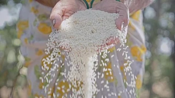 从女农民手中掉落的小麦的慢动作镜头
