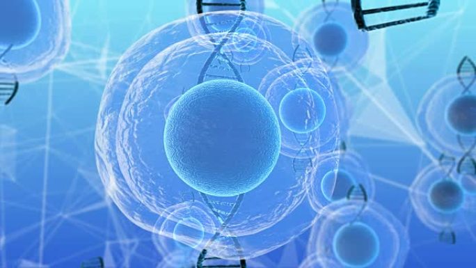 人胚胎干细胞分子生物化学研究技术三维渲染