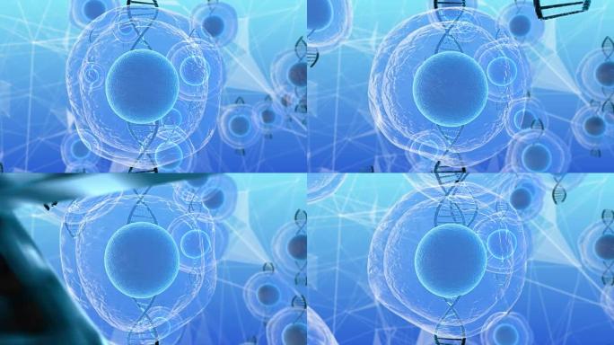 人胚胎干细胞分子生物化学研究技术三维渲染