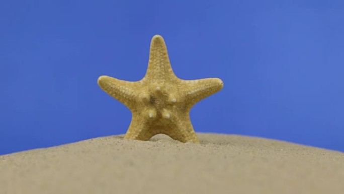 美丽的海星躺在沙滩上。隔离