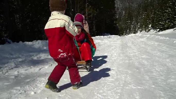 快乐的家庭在冬天在山上的白雪皑皑的森林里玩耍。妈妈和她的两个孩子在拉雪橇。他们在笑。