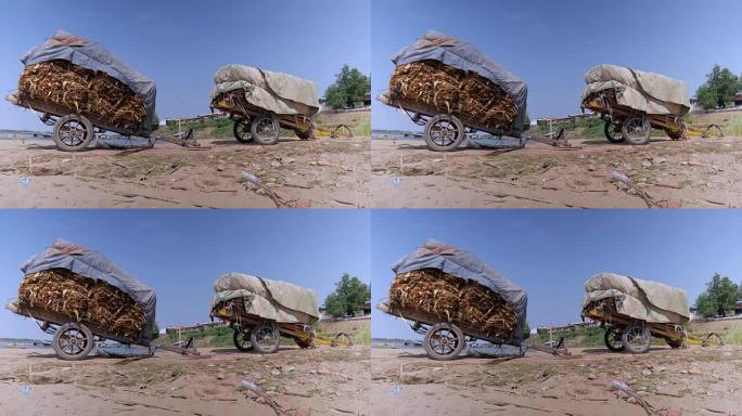 木车在土路上满载收获的烟叶
